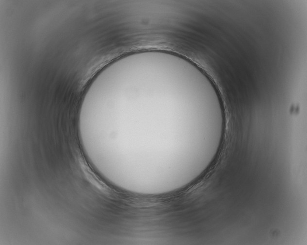 X0000111380397200907100942