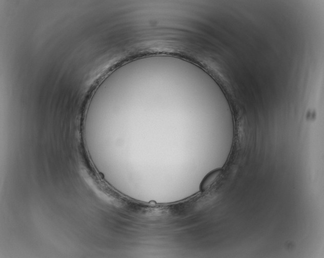 X0000111380398200907100942