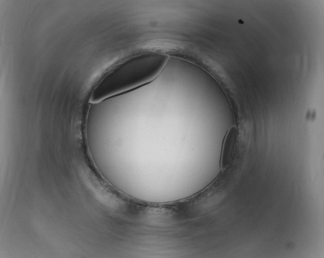 X0000111380399200907100942
