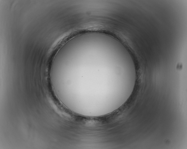 X0000111380400200907100942