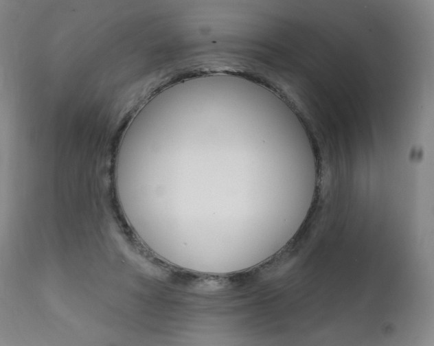 X0000111380402200907100942
