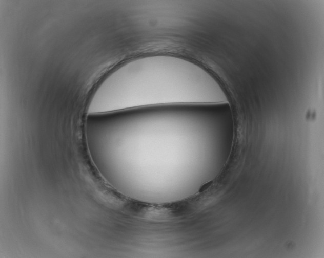 X0000111380403200907100942
