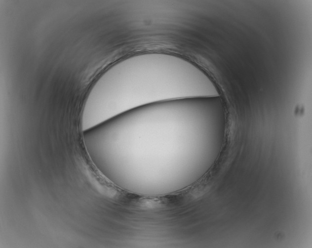 X0000111380405200907100942