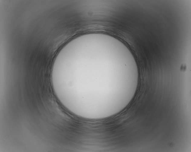 X0000111380411200907100942