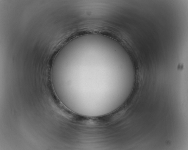 X0000111380412200907100942