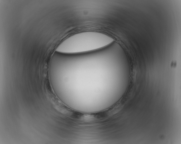 X0000111380413200907100942