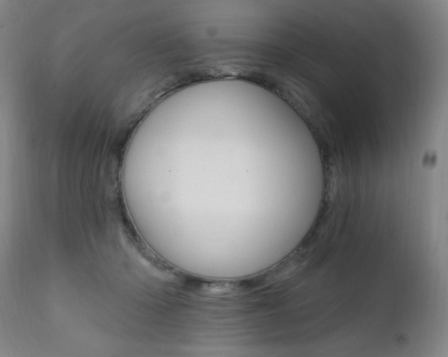 X0000111380414200907100942