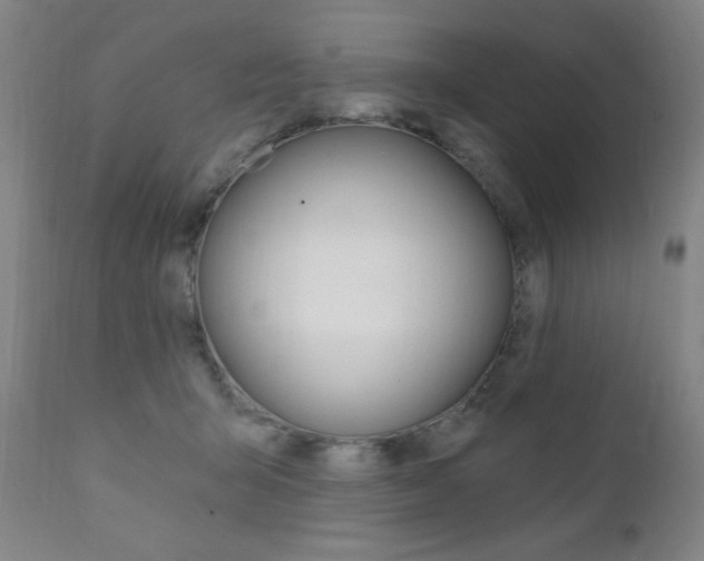 X0000111380415200907100942