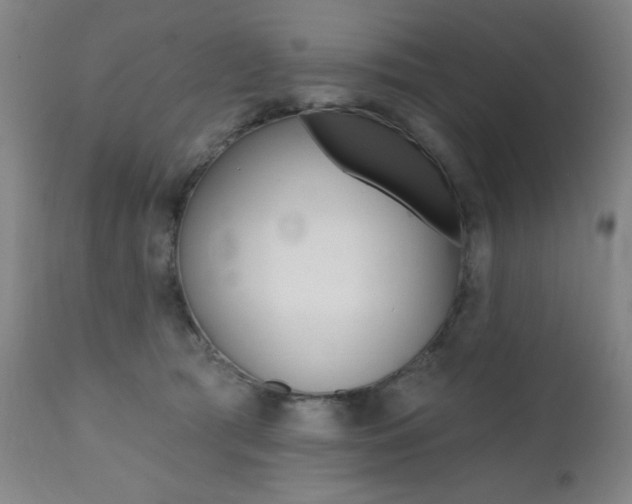 X0000111380417200907100942