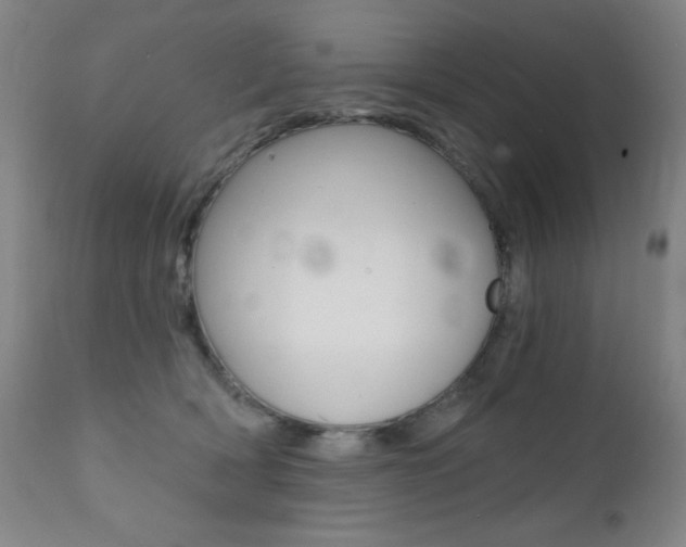 X0000111380418200907100941