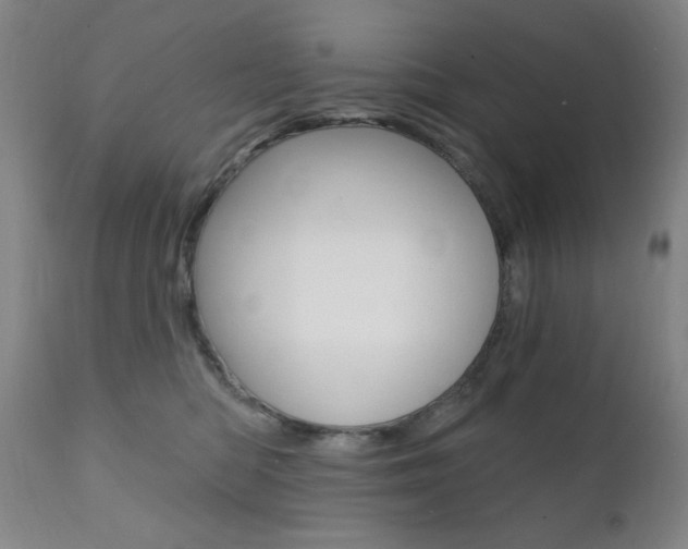 X0000111380422200907100941