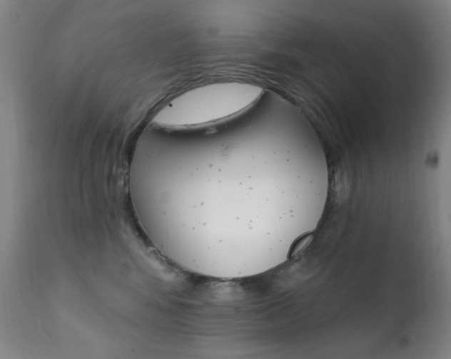 X0000111380424200907100941