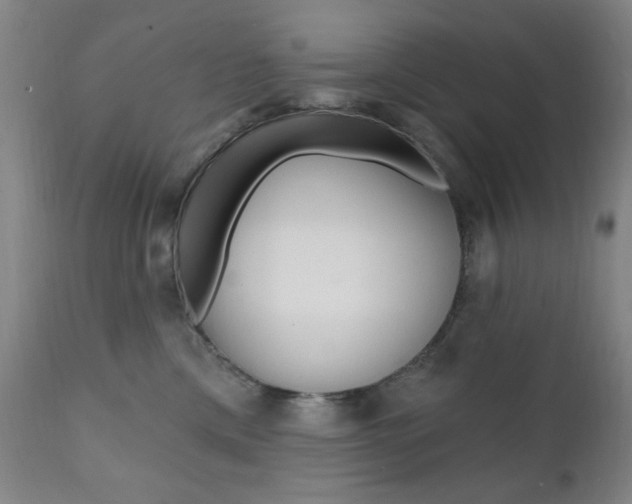 X0000111380425200907100941