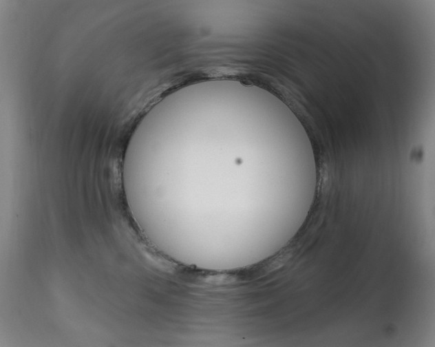 X0000111380426200907100941