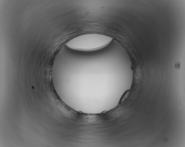 X0000111380428200907100941
