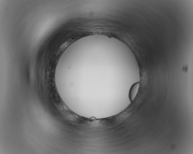 X0000111380430200907100941