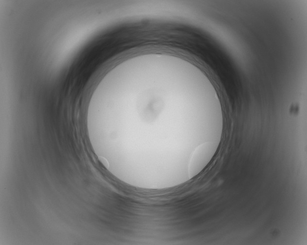 X0000111380431200907100941