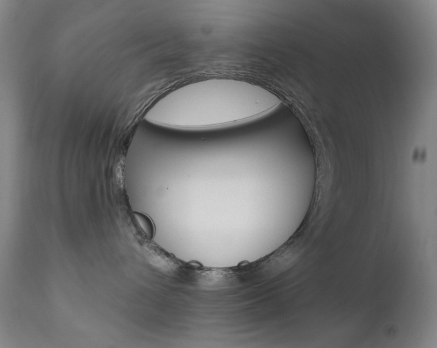 X0000111380432200907100941