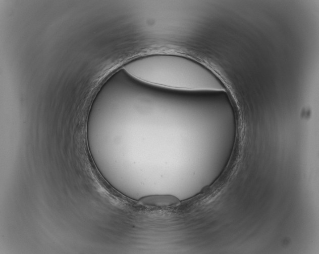 X0000111380433200907100941