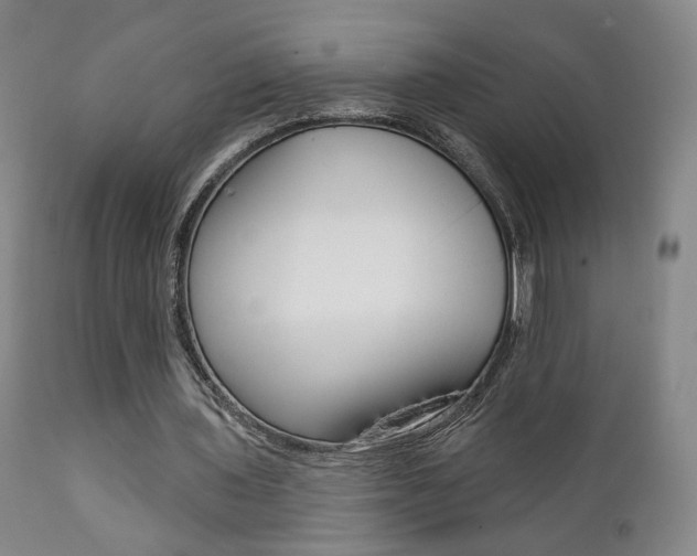 X0000111380435200907100941