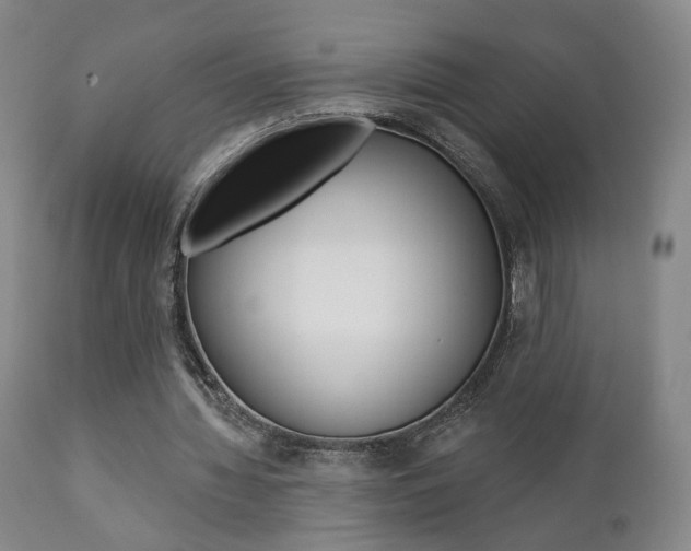 X0000111380436200907100941
