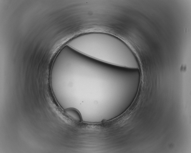 X0000111380437200907100941