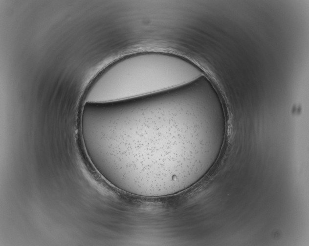 X0000111380438200907100941