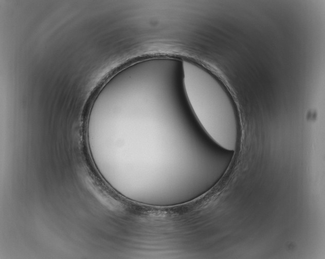 X0000111380439200907100941