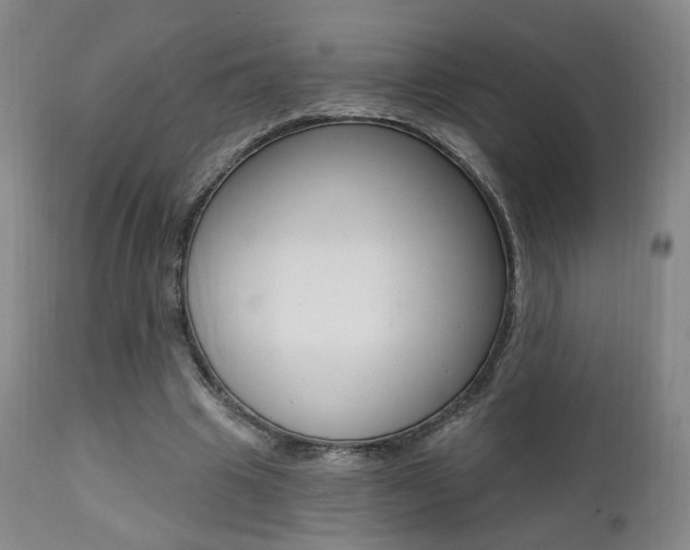 X0000111380441200907100941