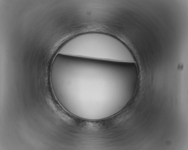 X0000111380442200907100941