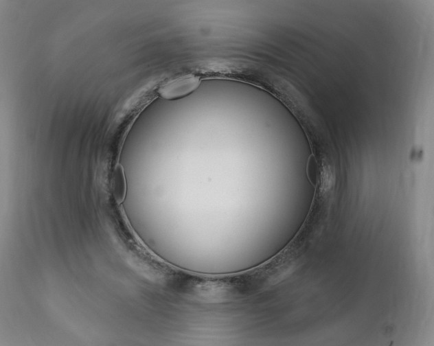 X0000111380444200907100941