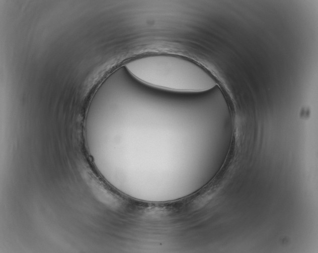 X0000111380445200907100941