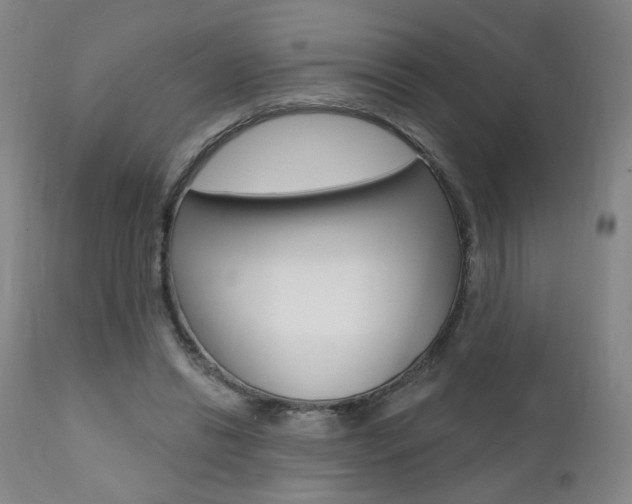 X0000111380446200907100941