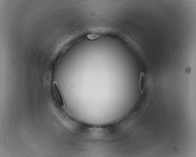 X0000111380448200907100941