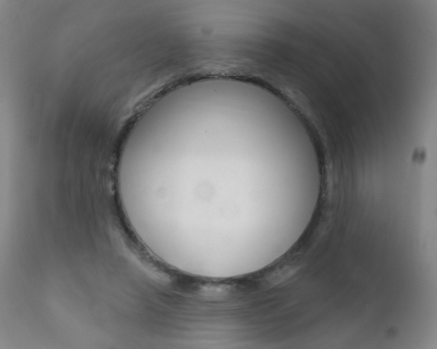 X0000111380450200907100941