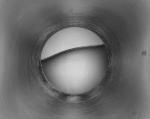 X0000111380452200907100941