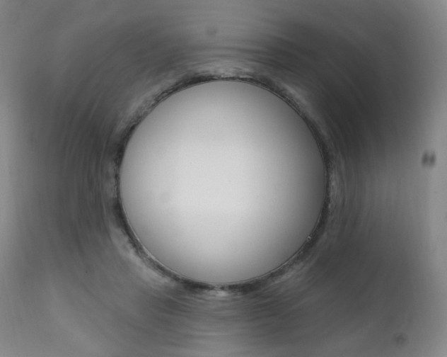 X0000111380453200907100941