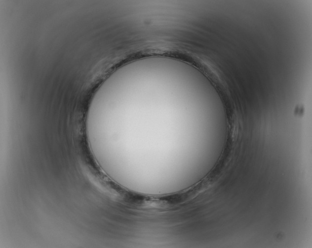 X0000111380455200907100941