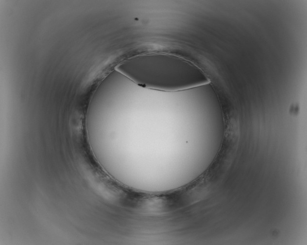 X0000111380456200907100941