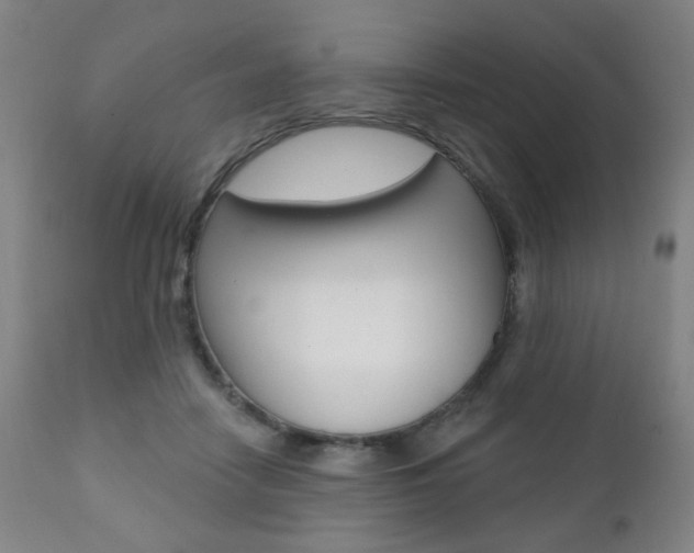 X0000111380458200907100941