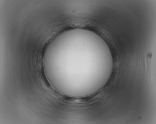 X0000111380460200907100941