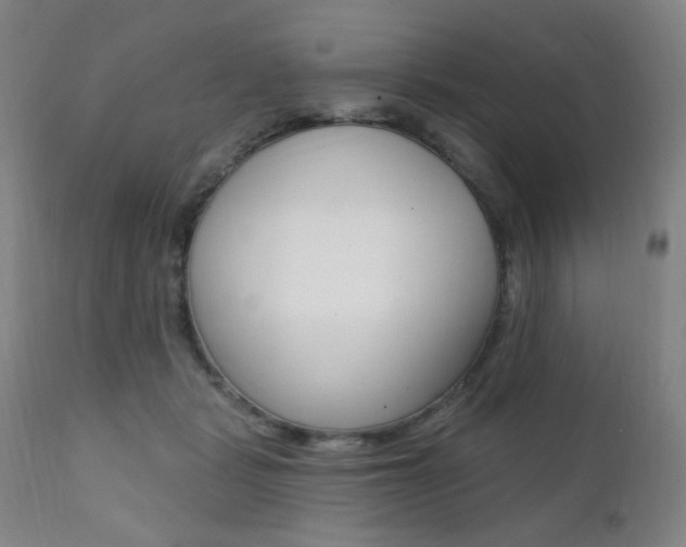 X0000111380461200907100941
