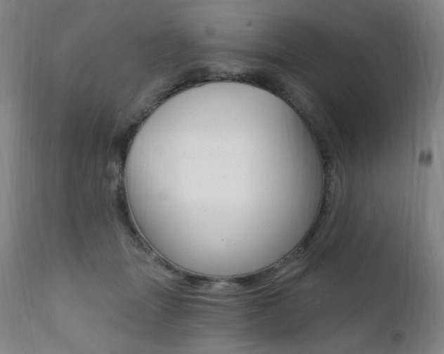 X0000111380463200907100941