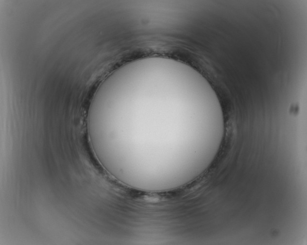X0000111380464200907100941