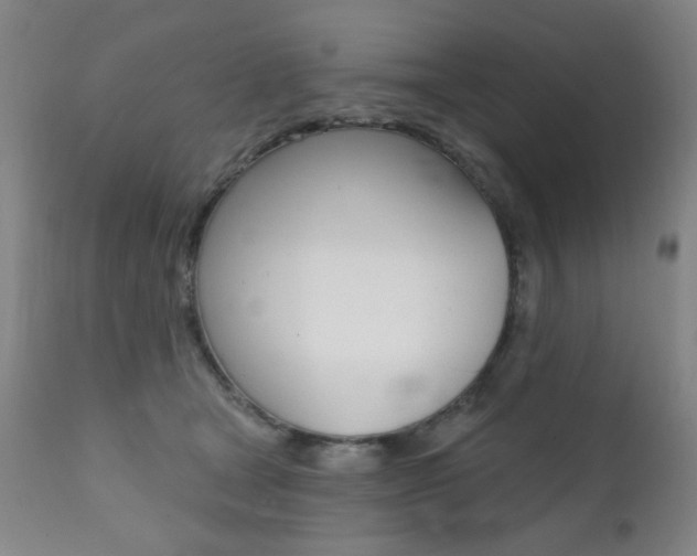 X0000111380465200907100941