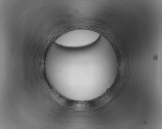 X0000111380466200907100941
