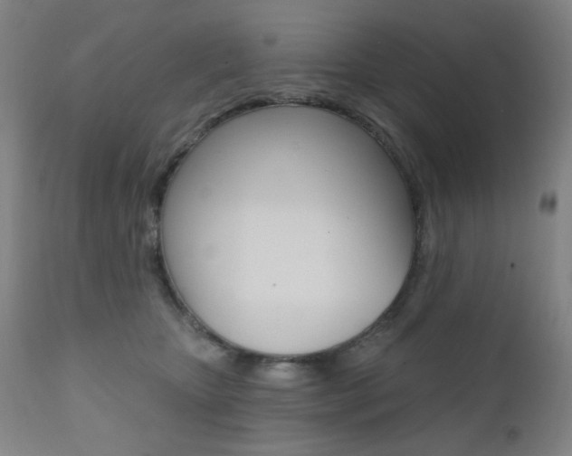 X0000111380467200907100941