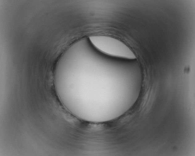 X0000111380469200907100941