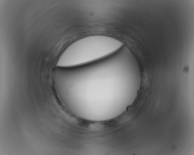 X0000111380470200907100941