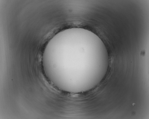 X0000111380472200907100941